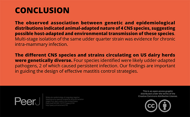 Conclusion:  Staph Molecular Epidemiology