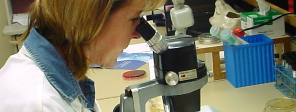 Laboratories