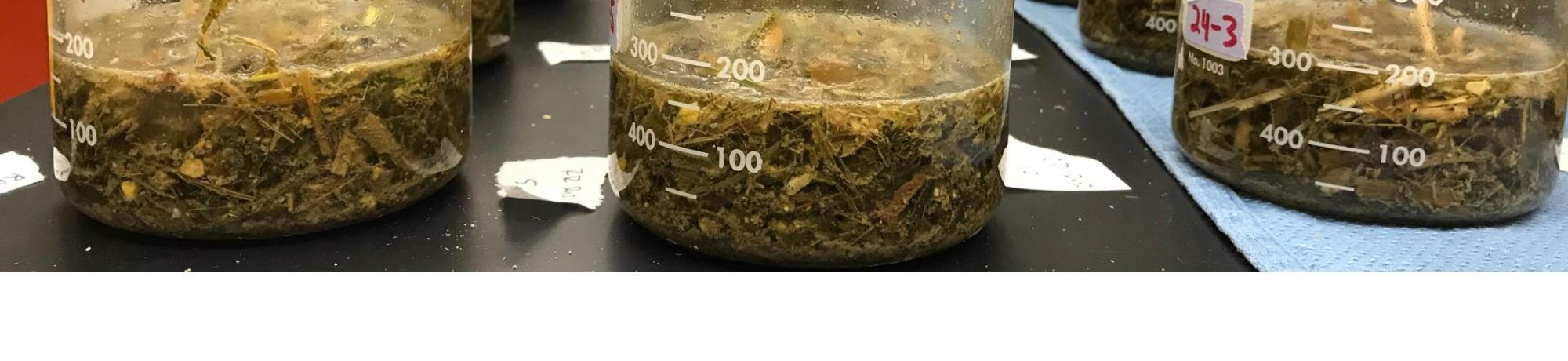 Beakers Rumen